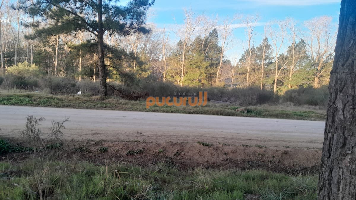 Gran terreno en Chacras del Pinar