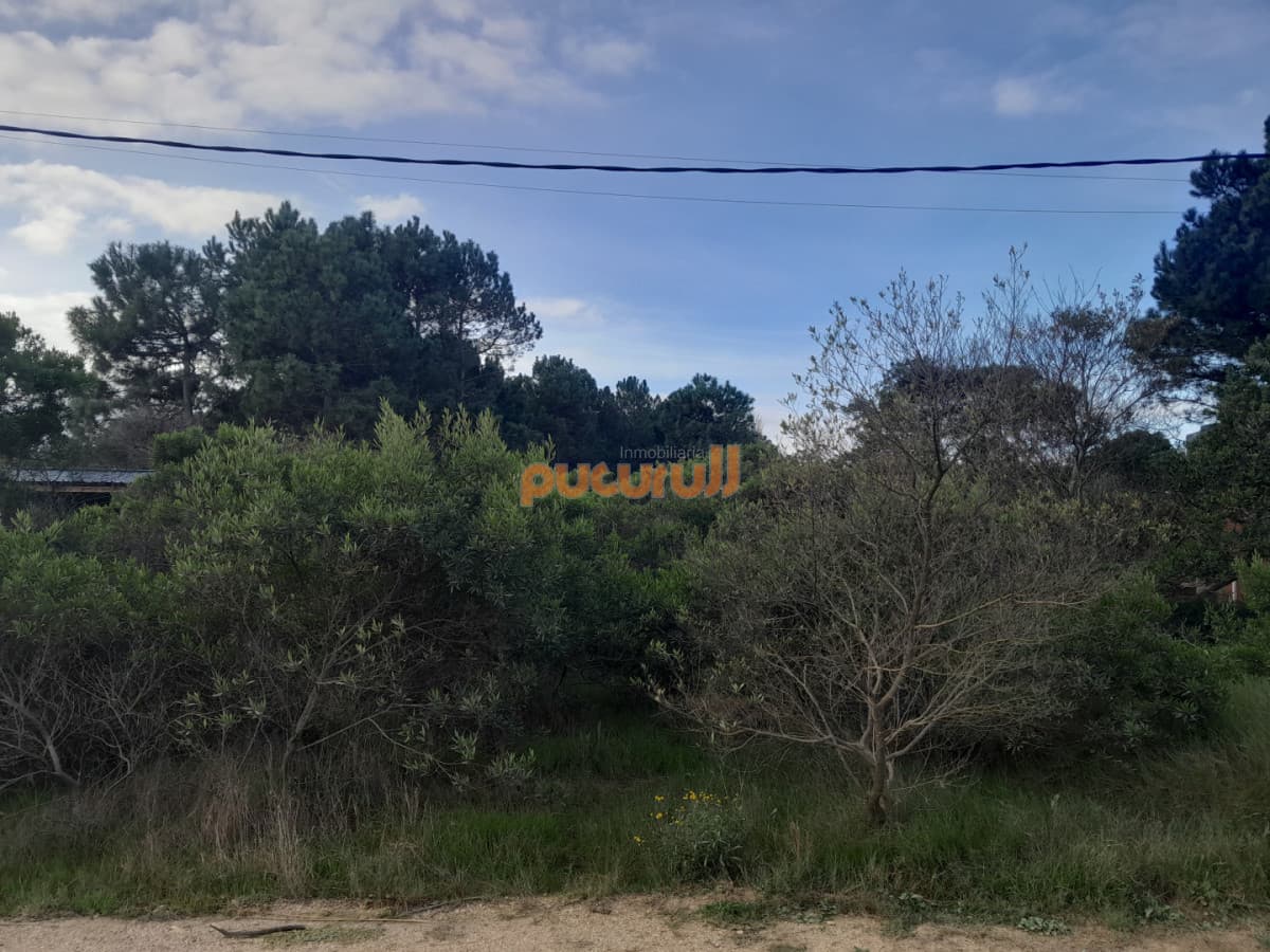 Excelente Ubicación!