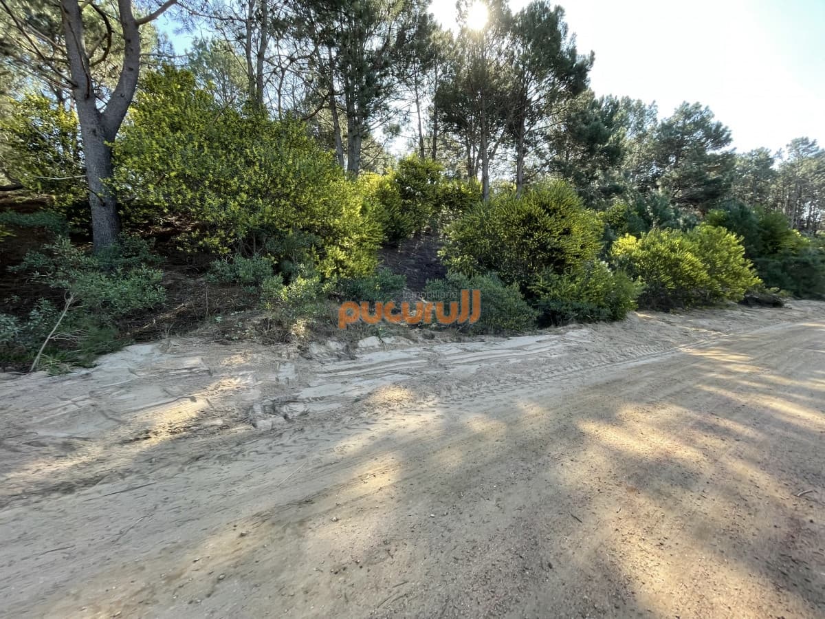 Terreno en Punta Ballena, Chihuahua