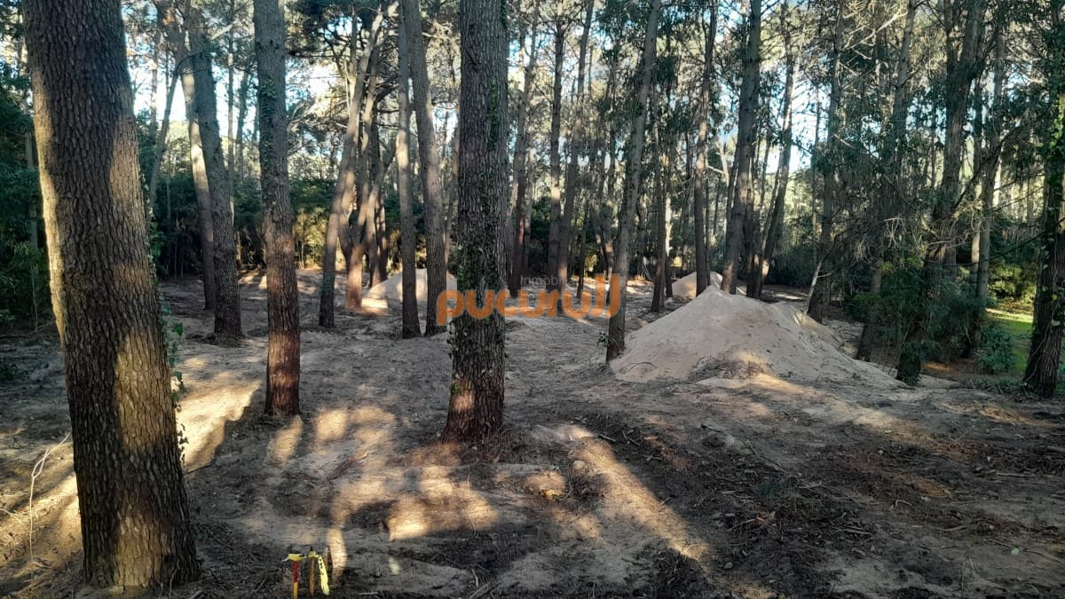 Excelente Entorno de bosque!