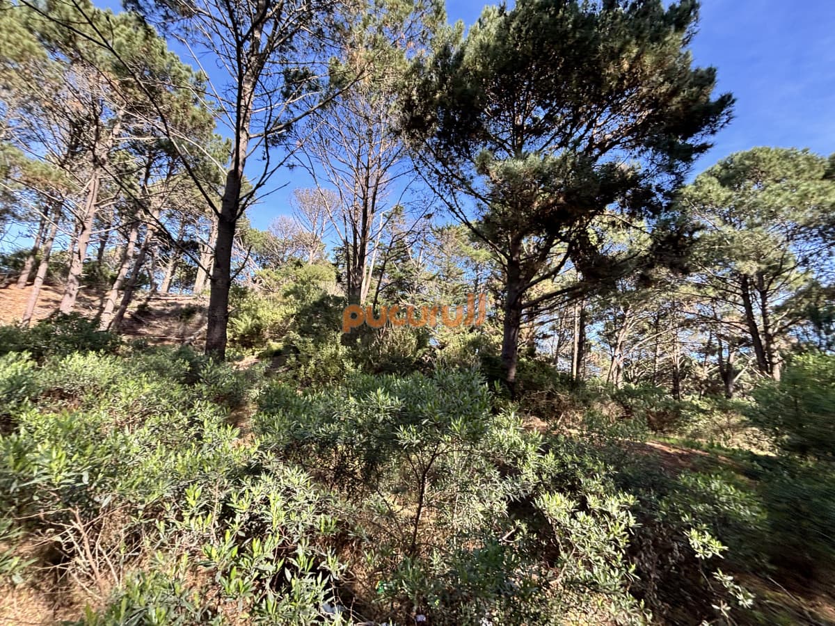 Terreno en Punta Ballena, Club del Lago