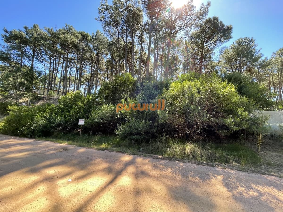 Terreno en Punta Ballena, Chihuahua