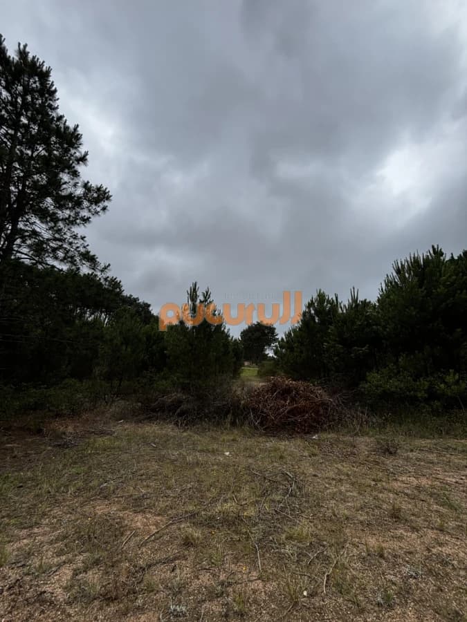 Terreno en Punta Ballena, Chihuahua