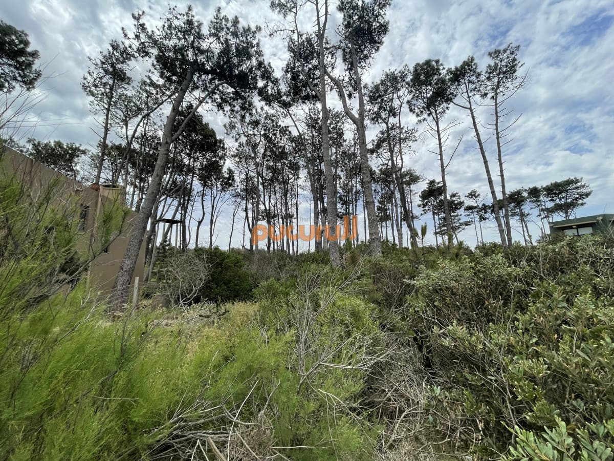 Terreno en Punta Ballena, Ocean Park