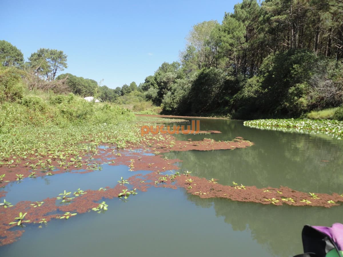 Terreno en Punta Ballena, Chihuahua