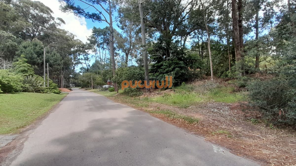 Terreno en Punta Ballena, Portezuelo Bosque