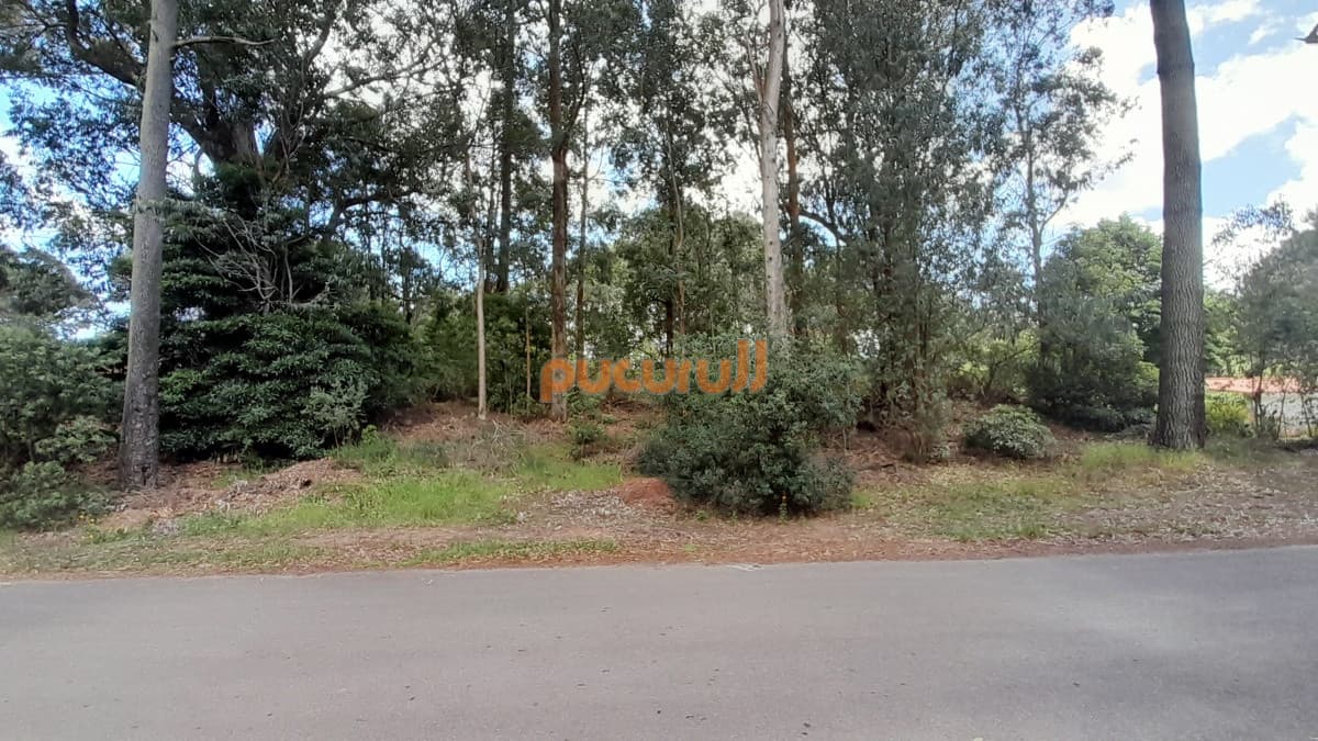 Terreno en Punta Ballena, Portezuelo Bosque