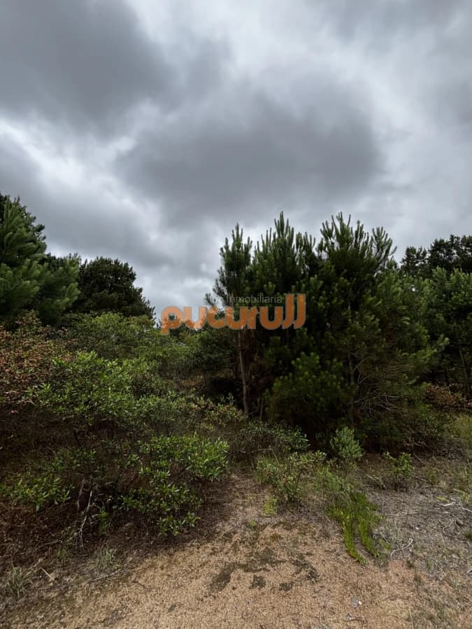 Terreno en Punta Ballena, Chihuahua