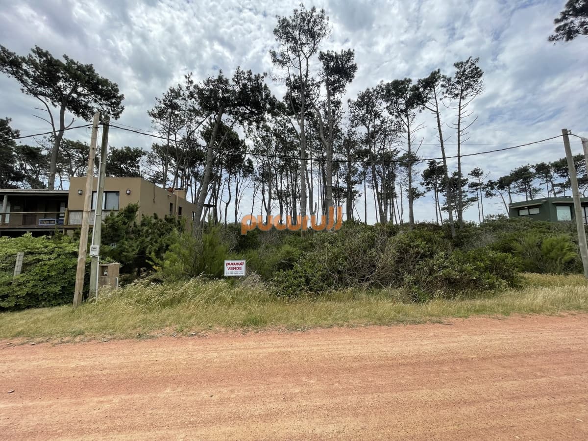 Terreno en Punta Ballena, Ocean Park
