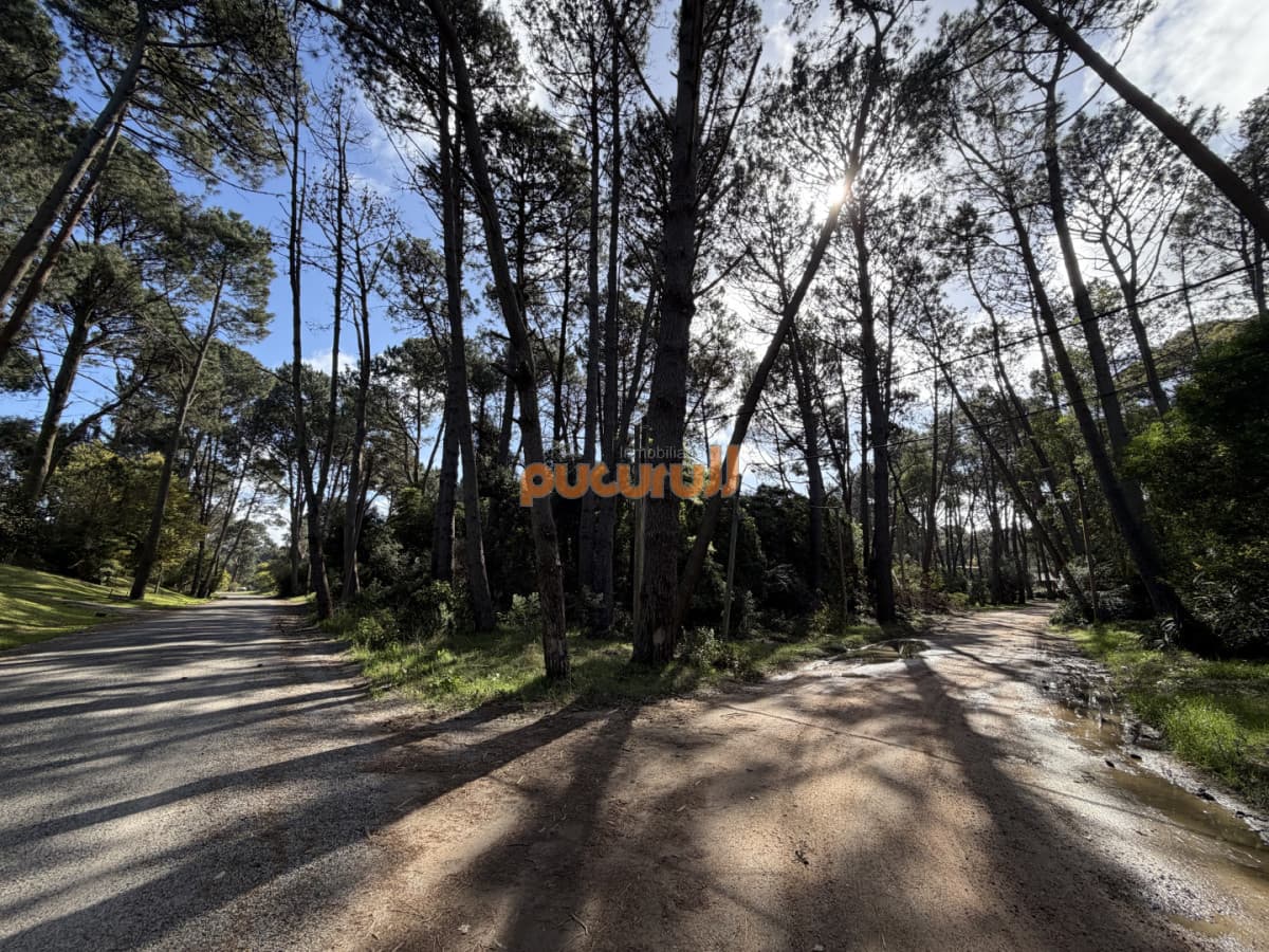 Terreno en Portezuelo Bosque - Punta Ballena