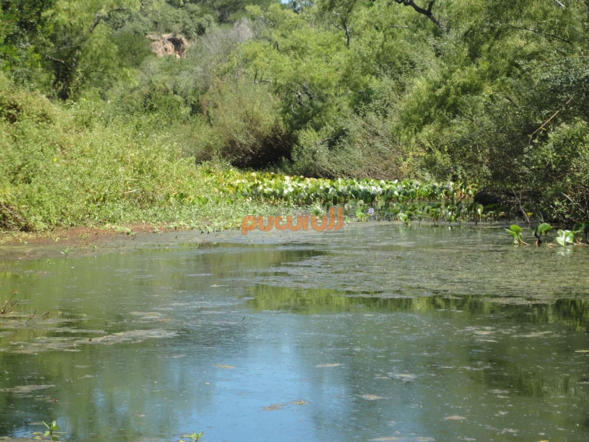 Terreno en Punta Ballena, Chihuahua