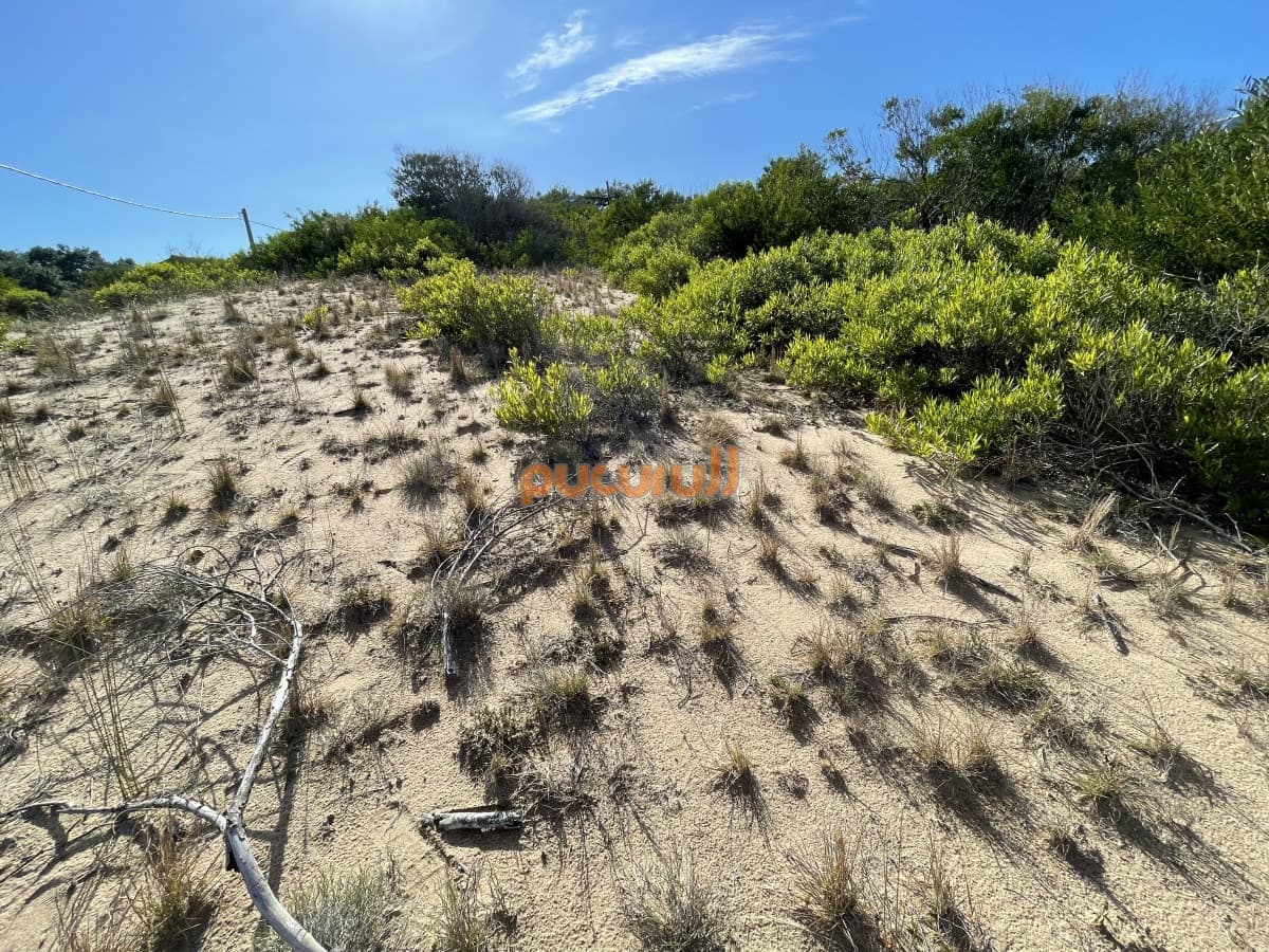 Terreno en Punta Ballena, Chihuahua