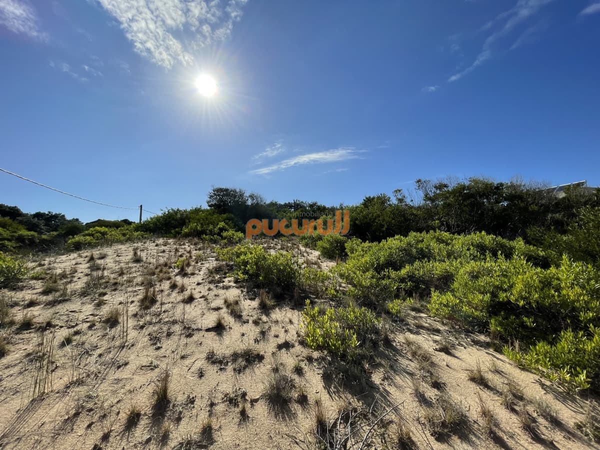 Terreno en Punta Ballena, Chihuahua