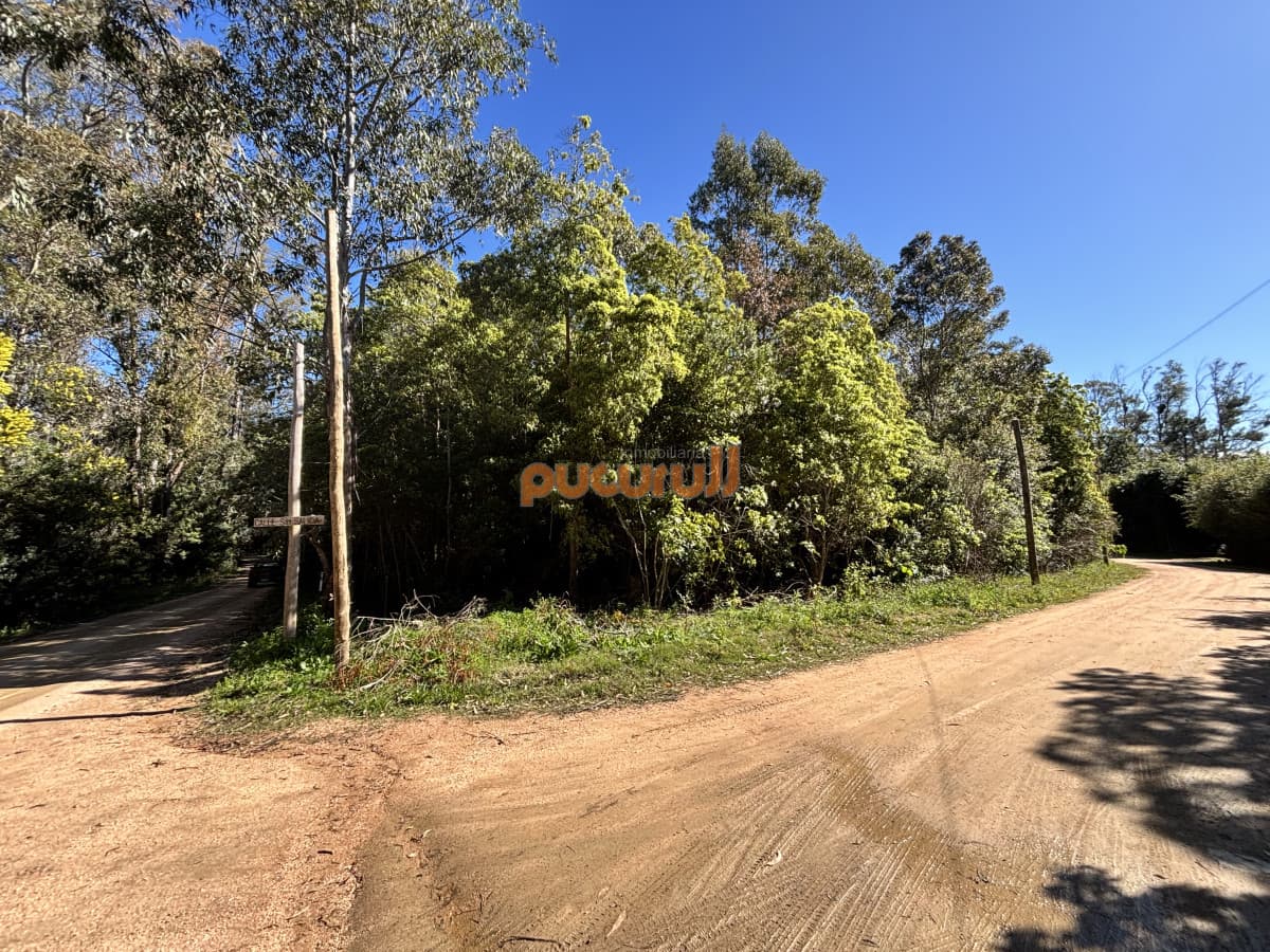 Terreno en Punta Ballena, Laguna del Sauce