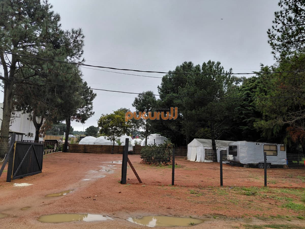 Terreno en Punta Ballena, Tio Tom