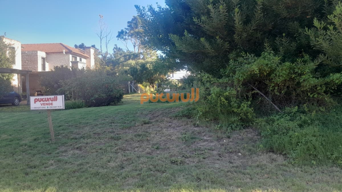 Terreno en Punta Ballena, Tio Tom