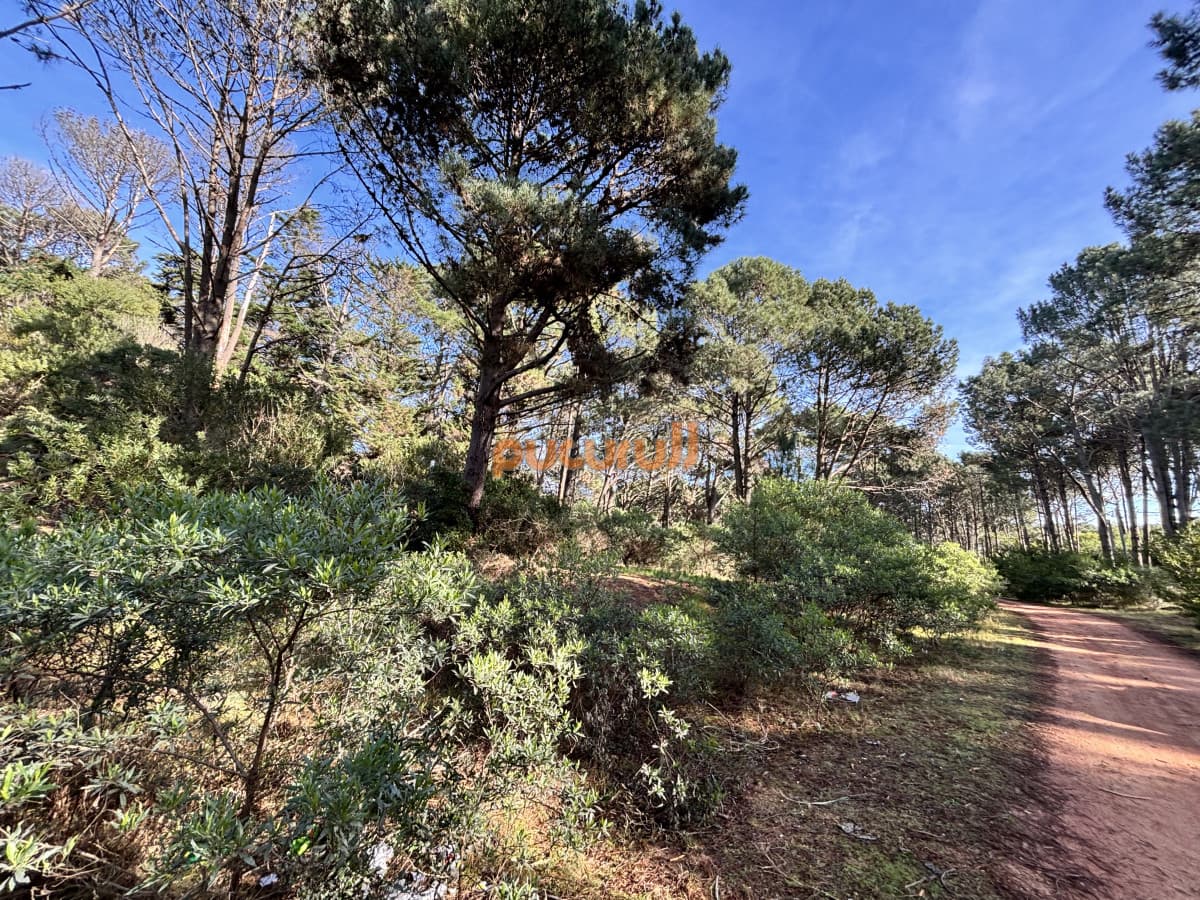 Terreno en Punta Ballena, Club del Lago