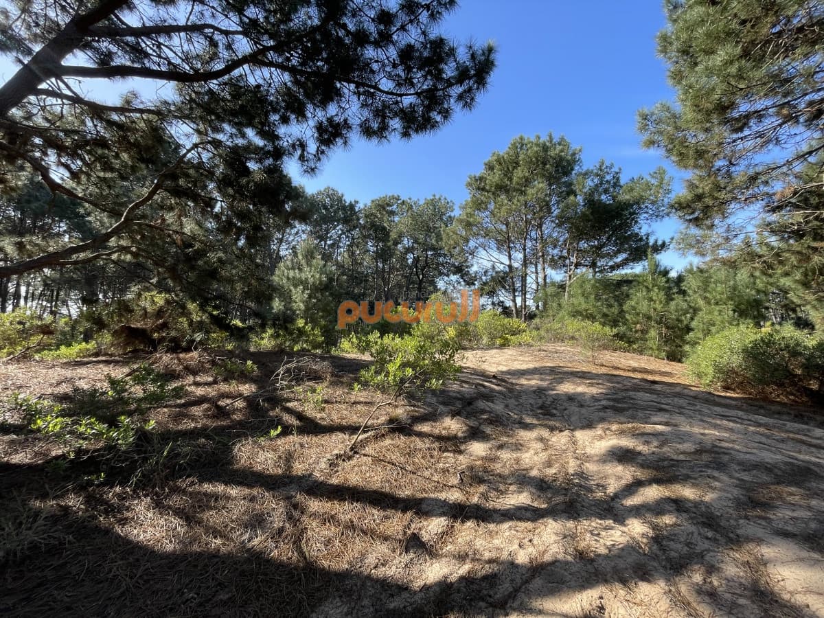 Terreno en Punta Ballena, Chihuahua