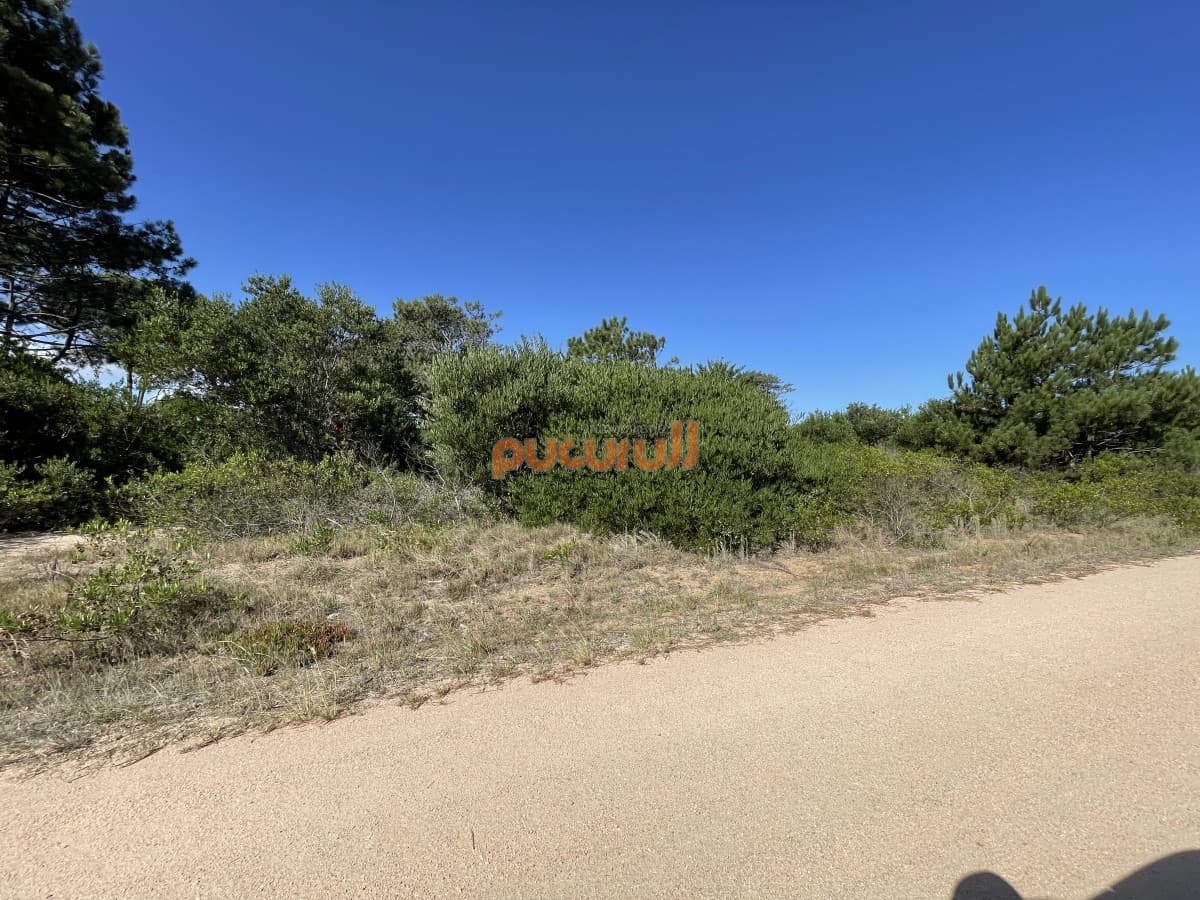 Terreno en Punta Ballena, Chihuahua