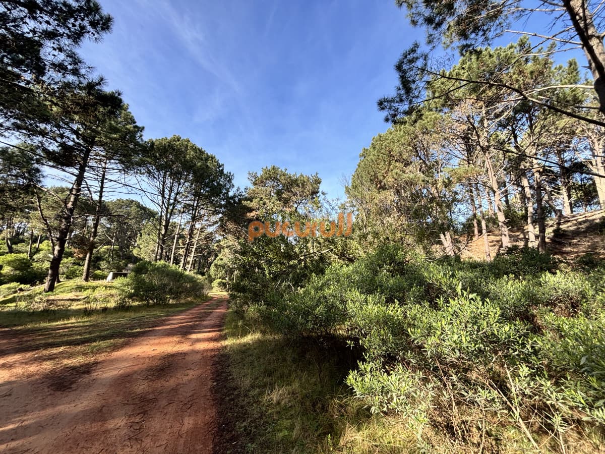 Terreno en Punta Ballena, Club del Lago