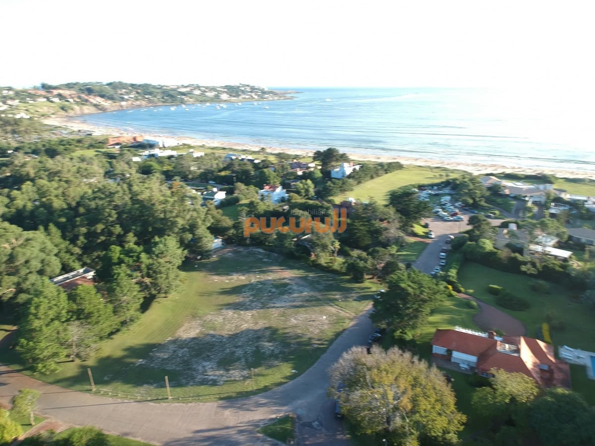 Solanas