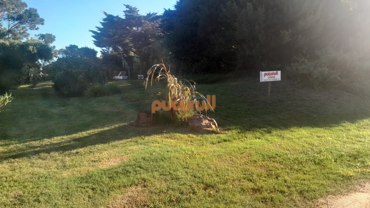 Terreno en Punta Ballena, Tio Tom