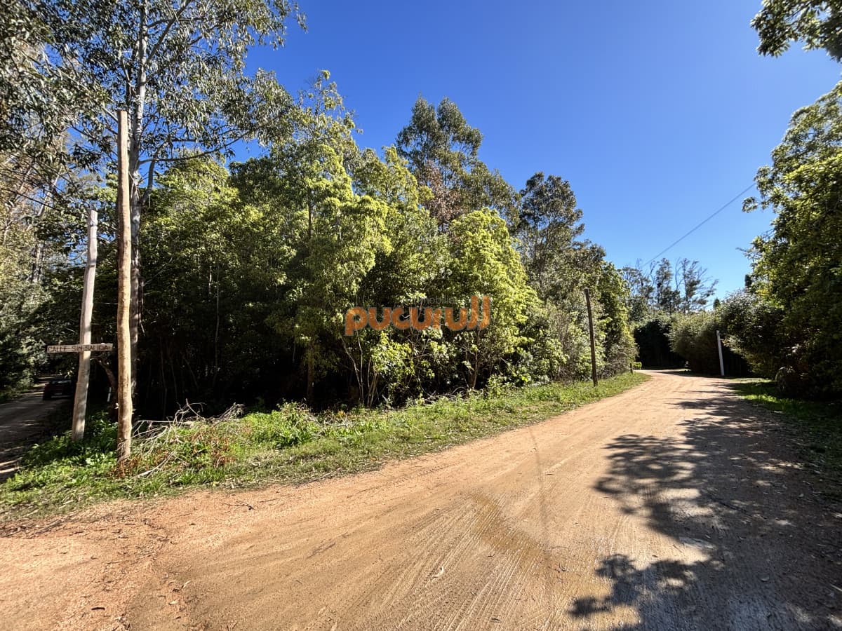Terreno en Punta Ballena, Laguna del Sauce