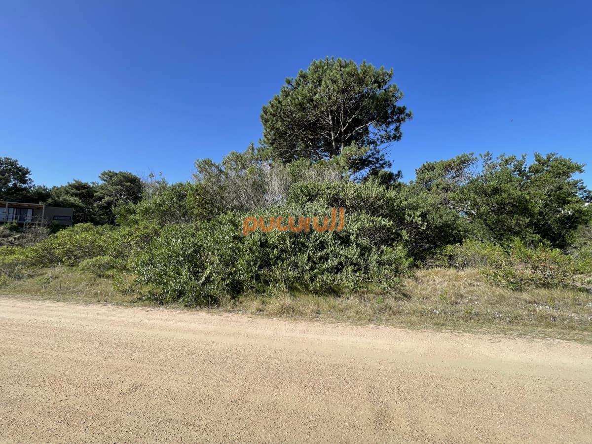 Terreno en Punta Ballena, Chihuahua