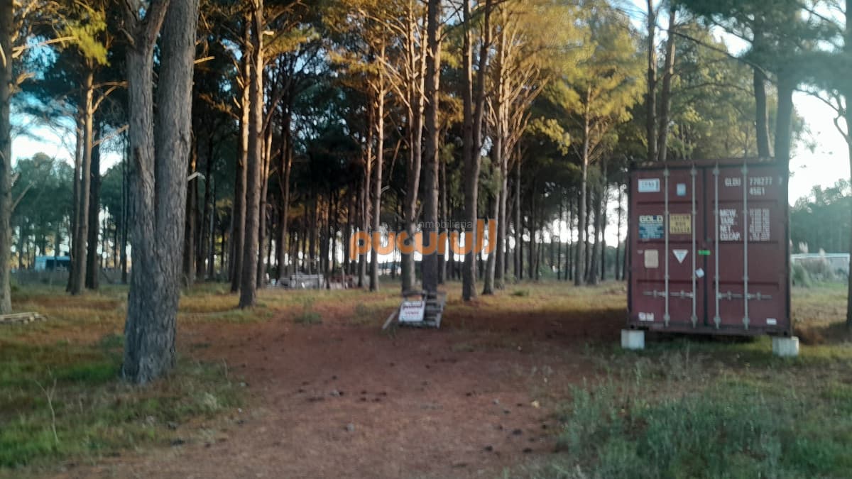 Gran terreno en Chacras del Pinar
