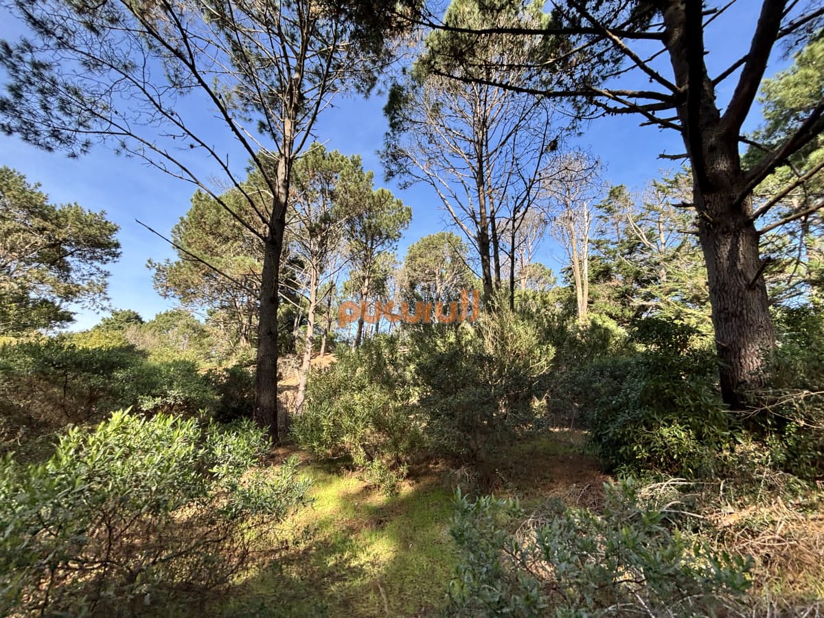 Terreno en Punta Ballena, Club del Lago