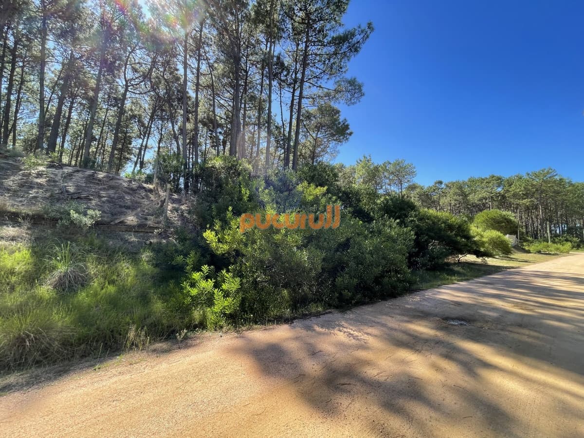 Terreno en Punta Ballena, Chihuahua