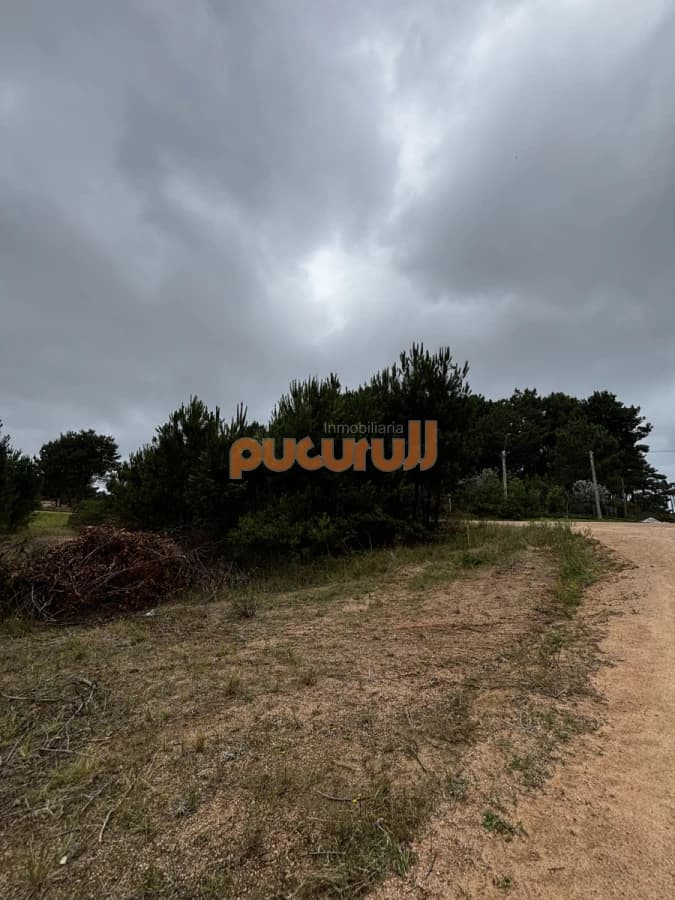 Terreno en Punta Ballena, Chihuahua