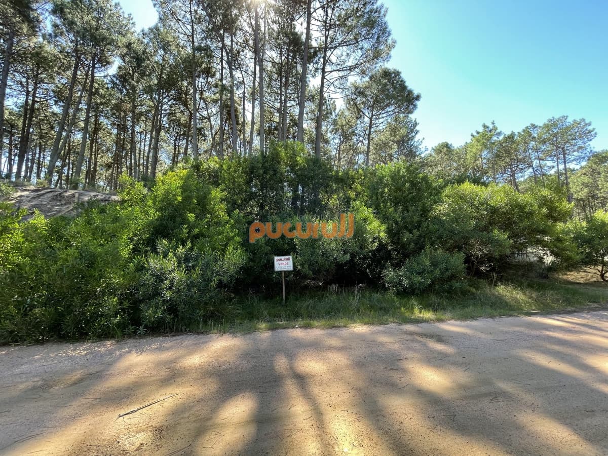 Terreno en Punta Ballena, Chihuahua