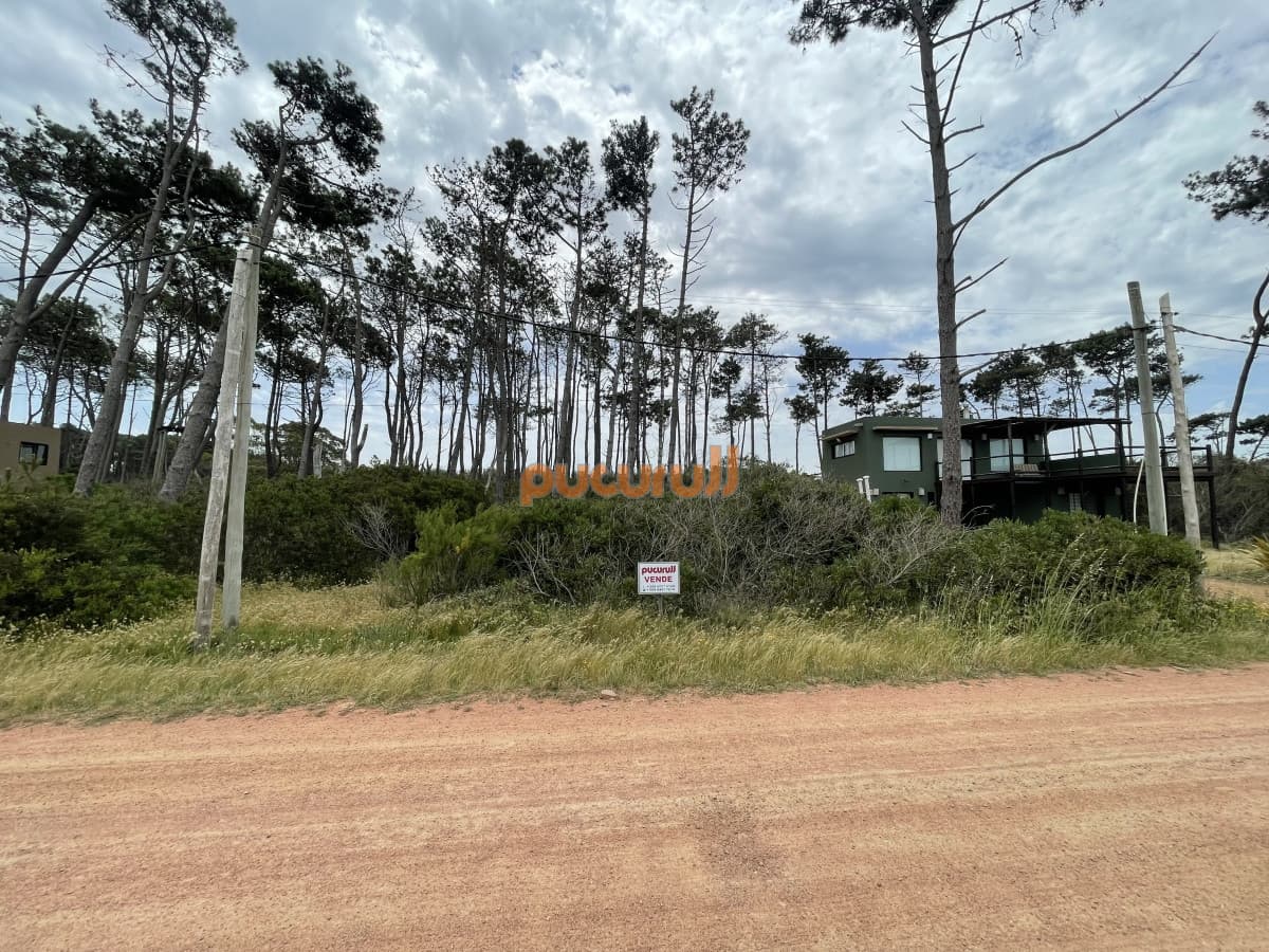 Terreno en Punta Ballena, Ocean Park