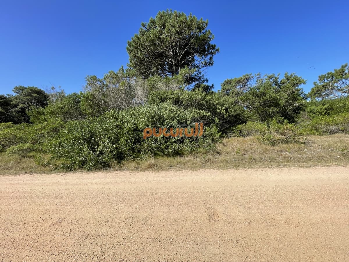 Terreno en Punta Ballena, Chihuahua