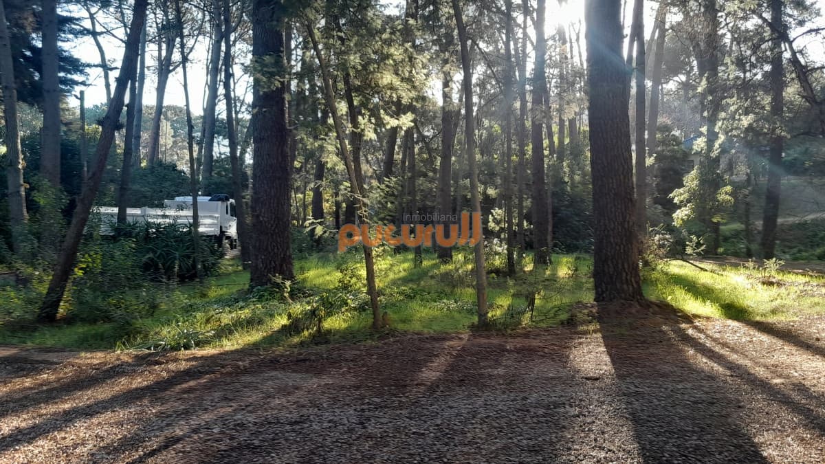 Excelente Entorno de bosque!
