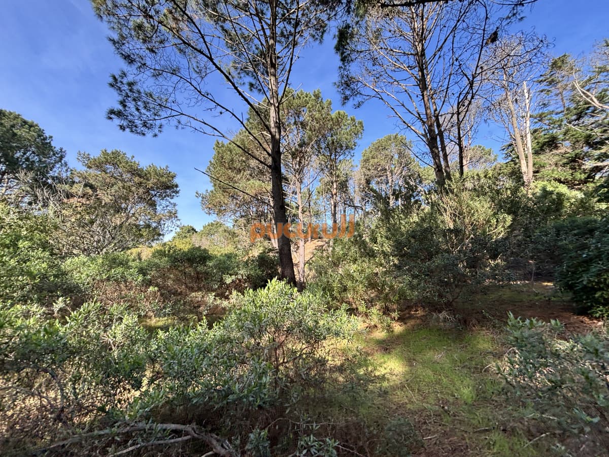 Terreno en Punta Ballena, Club del Lago
