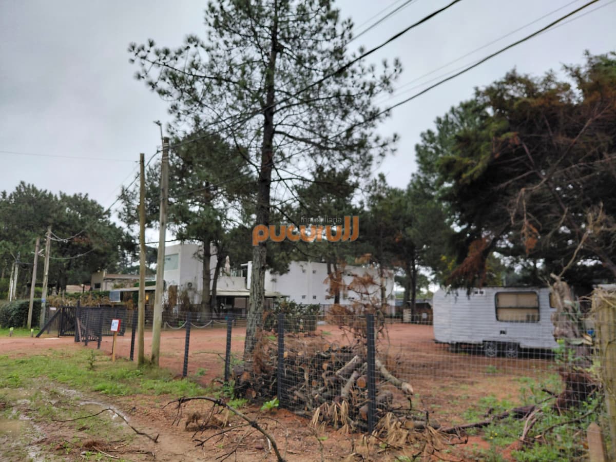 Terreno en Punta Ballena, Tio Tom