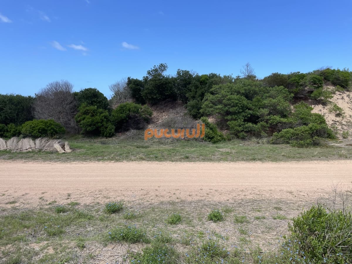 Oportunidad en Chihuahua