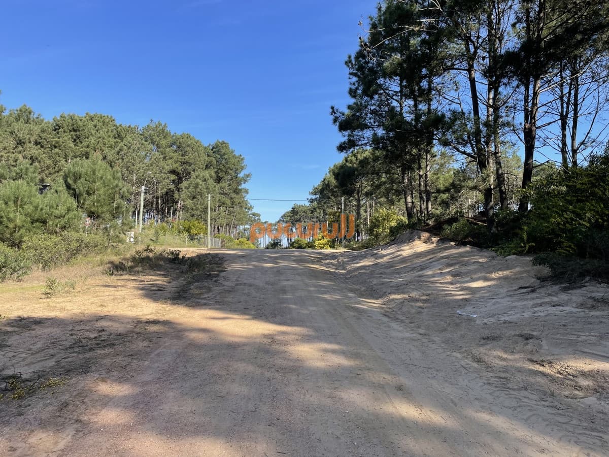Terreno en Punta Ballena, Chihuahua