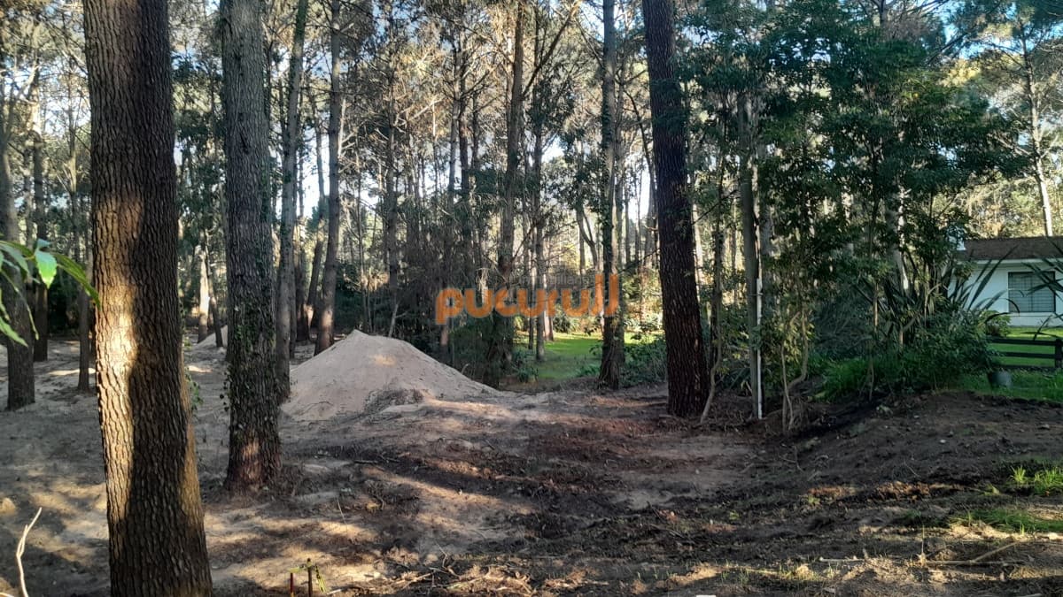 Excelente Entorno de bosque!