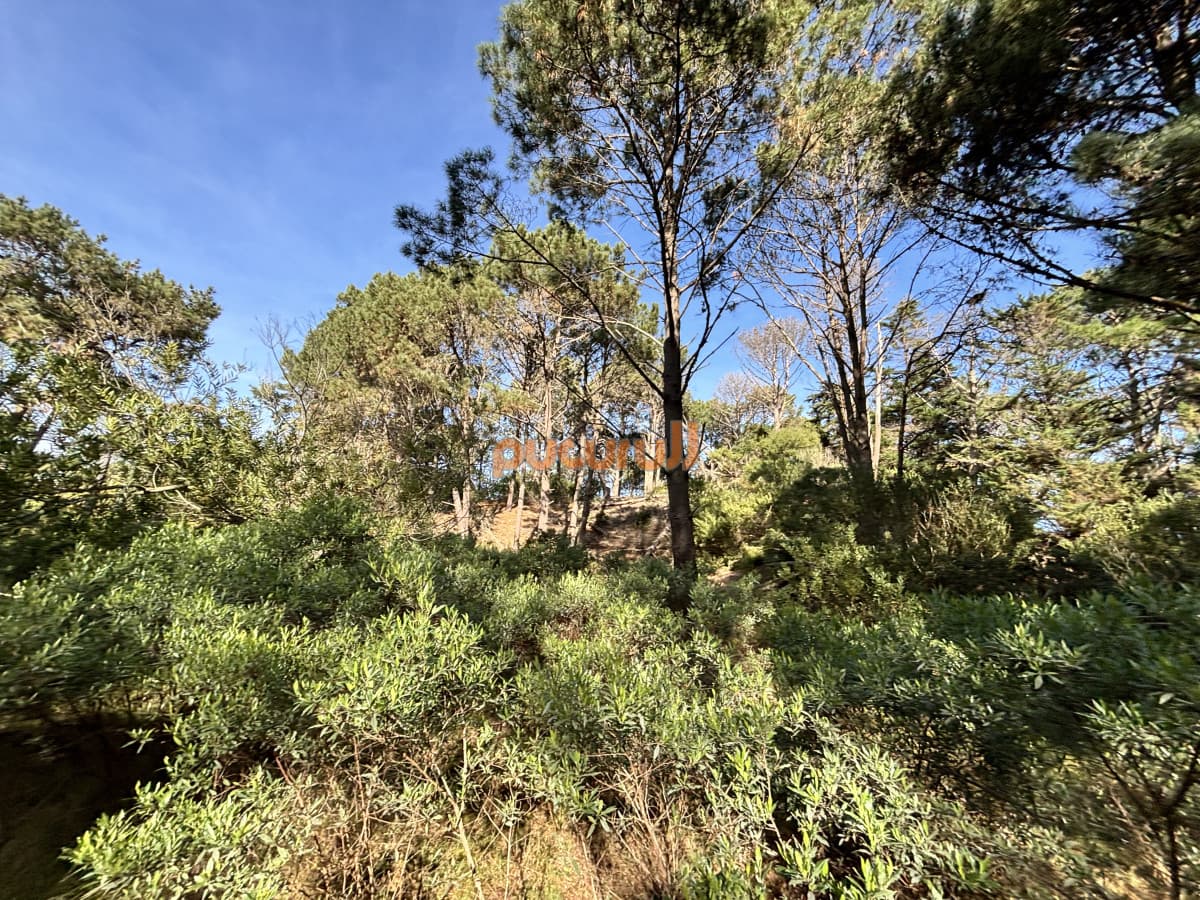 Terreno en Punta Ballena, Club del Lago