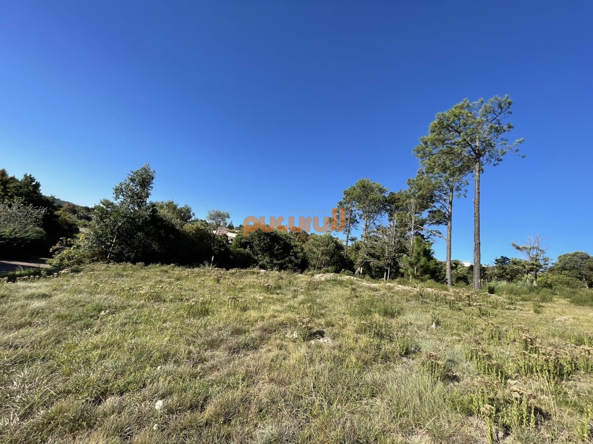 Terreno en Punta Ballena, Lomo de la Ballena