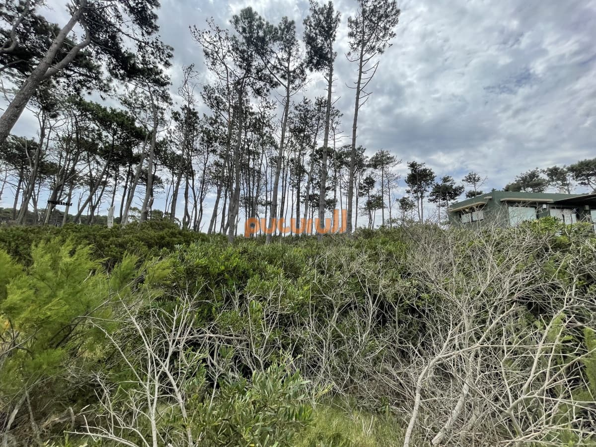 Terreno en Punta Ballena, Ocean Park