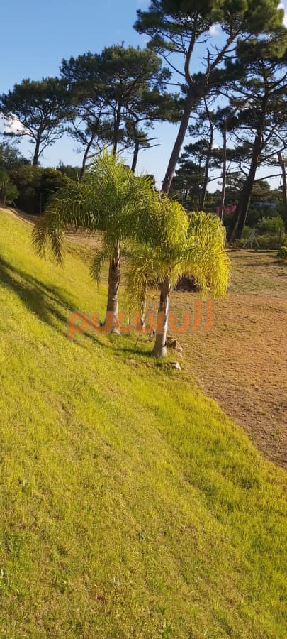 Terreno en Punta Ballena, Club del Lago