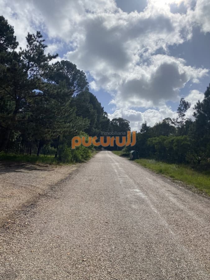Terreno en Portezuelo Bosque
