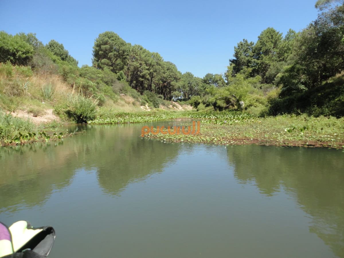 Terreno en Punta Ballena, Chihuahua
