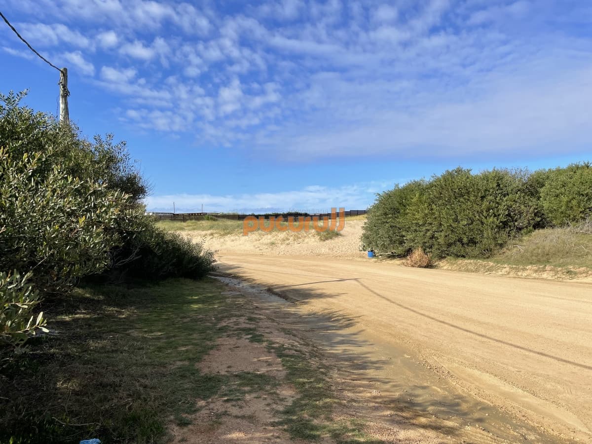 Terreno en Punta Ballena, Chihuahua