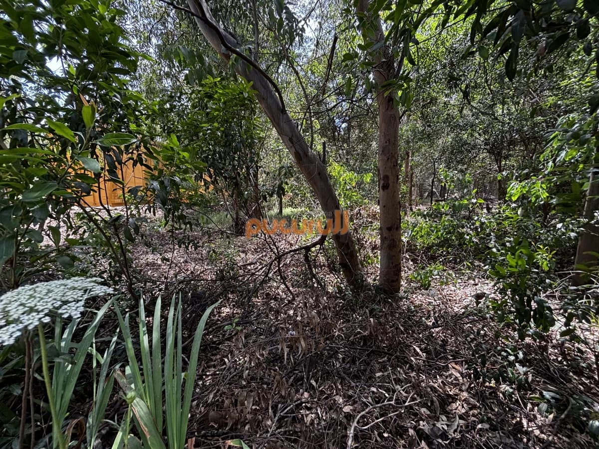 Terreno en Punta Ballena, Sauce de Portezuelo
