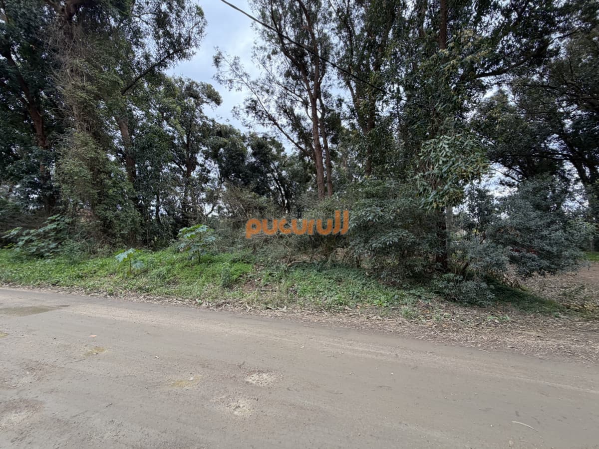 Terreno en Ocean Park - Punta Ballena